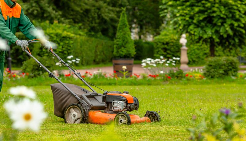 Lawn Clean Up