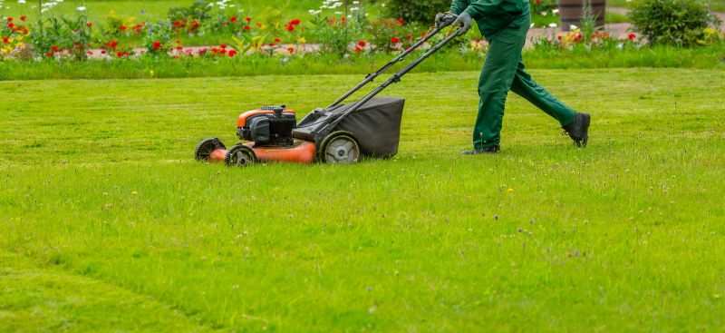 Lawn Clean Up