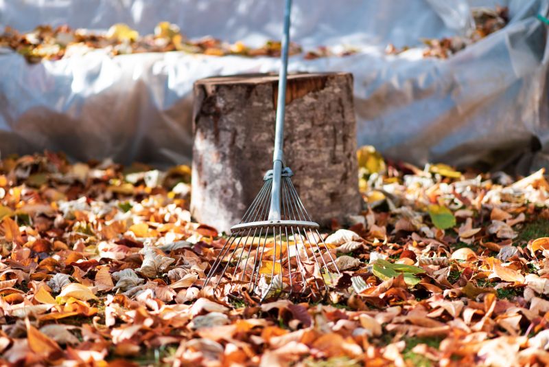 Autumn Leaf Removal in Ventura County, CA
