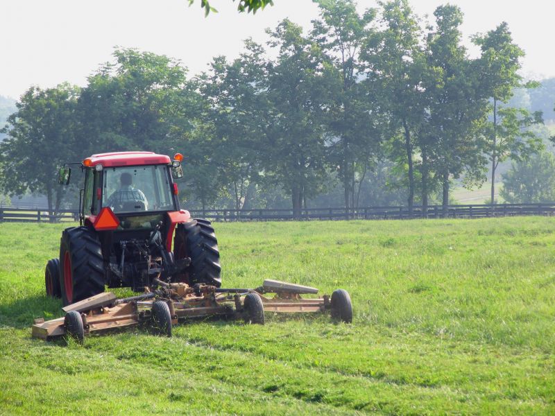 Brush Mowing Service in Waldorf, MD