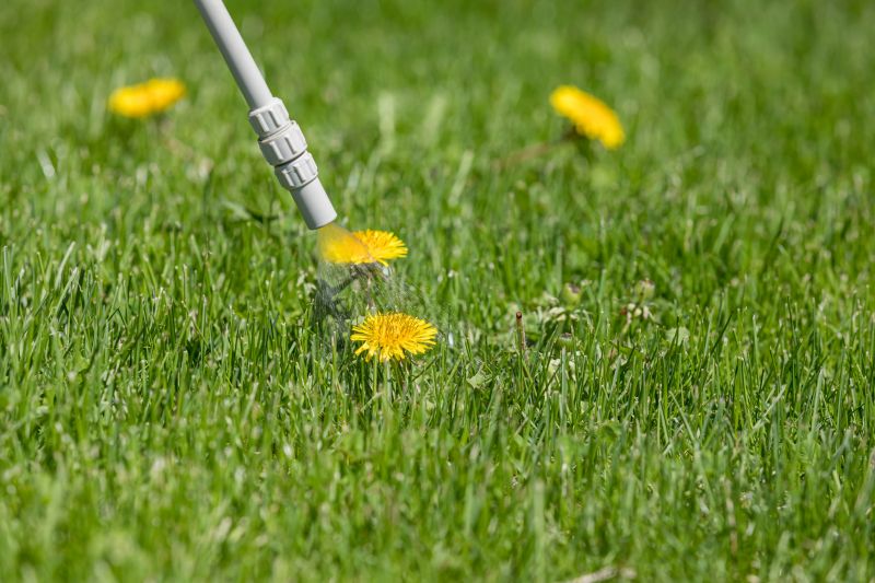 Crabgrass Removal in Rockwall, TX