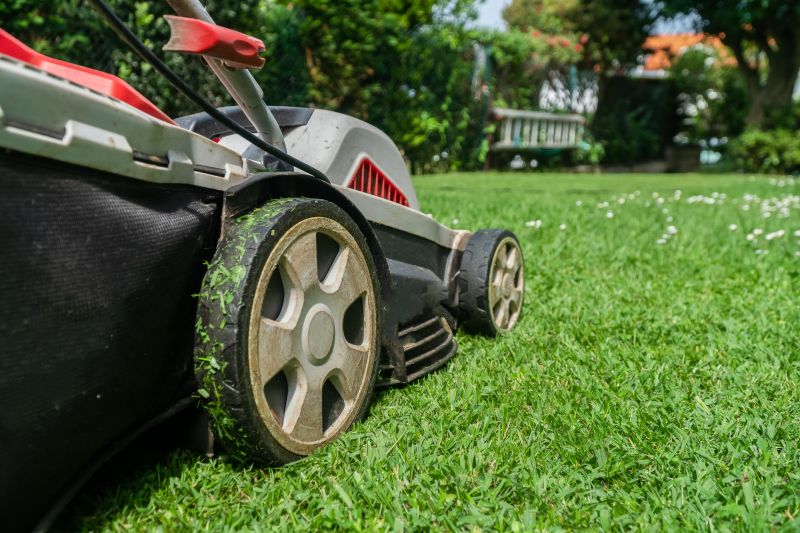 Seasonal Lawn Preparation