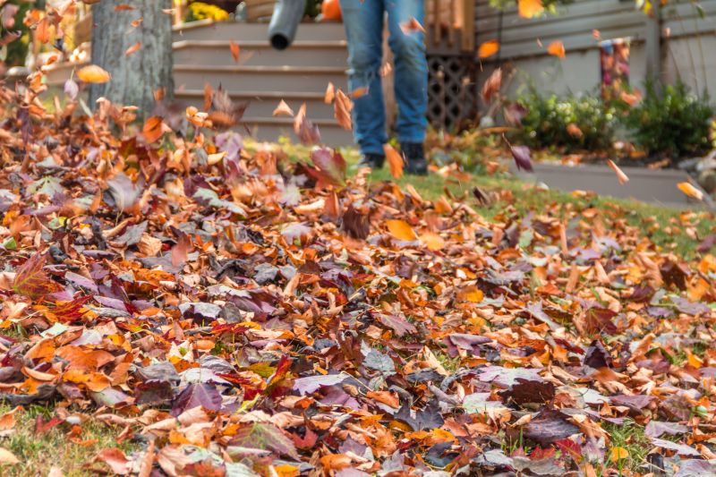 Lawn Cleanup Service in Ventura County, CA
