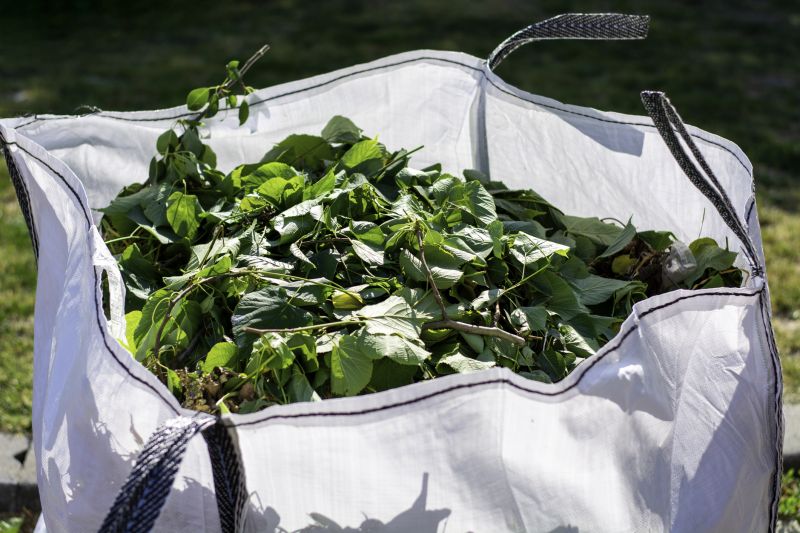 Leaf Cleanup Service in Honolulu, HI