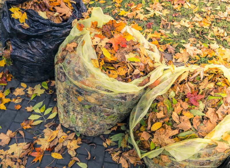Leaf Cleanup Service in Ventura County, CA