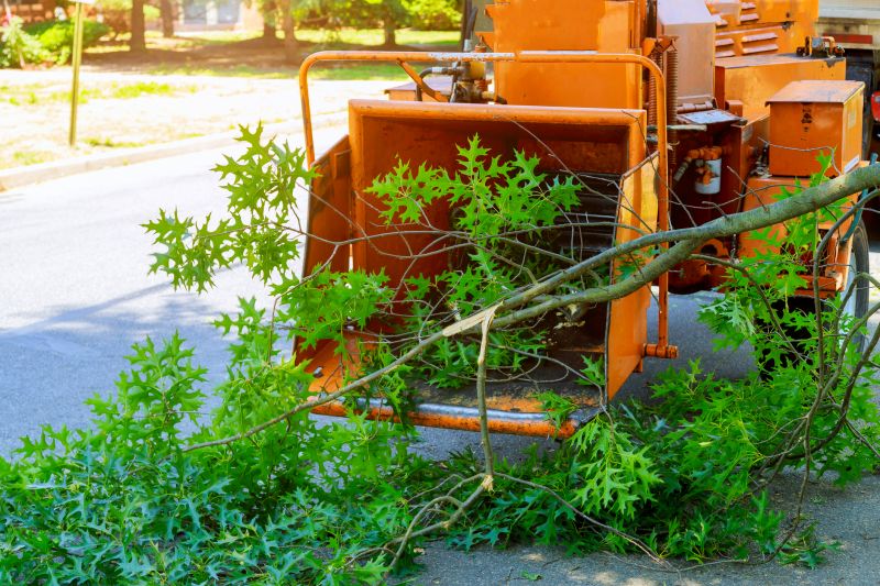 Limbs Removal in Honolulu, HI