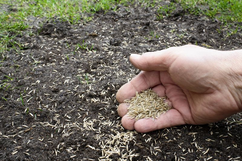 New Construction Lawn Seeding in Ventura County, CA