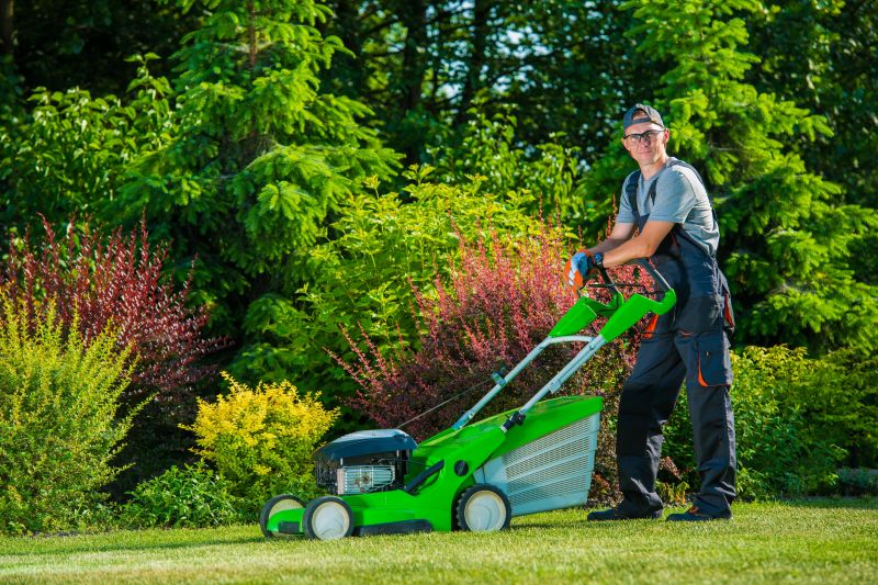 Products For Lawn Clean Ups in use