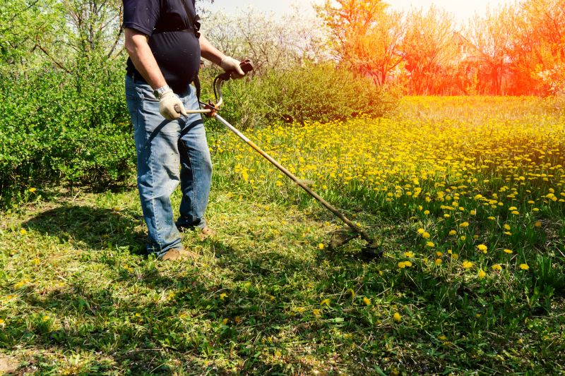 Seasonal Lawn Maintenance in Honolulu, HI