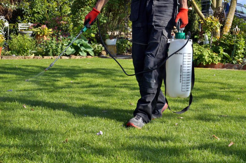 Spring Lawn Fertilizing in Ventura County, CA