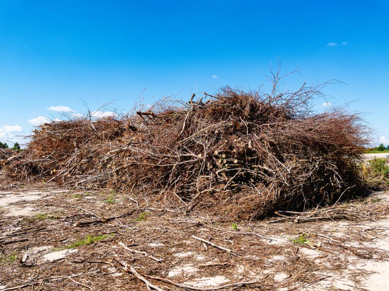 Wood Pile Removal in Honolulu, HI
