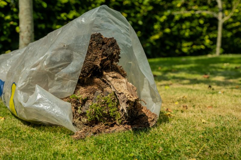 Yard Cleanup Service in Honolulu, HI