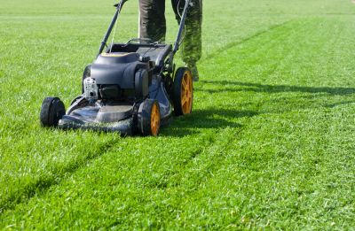 Mowing and Edging Services