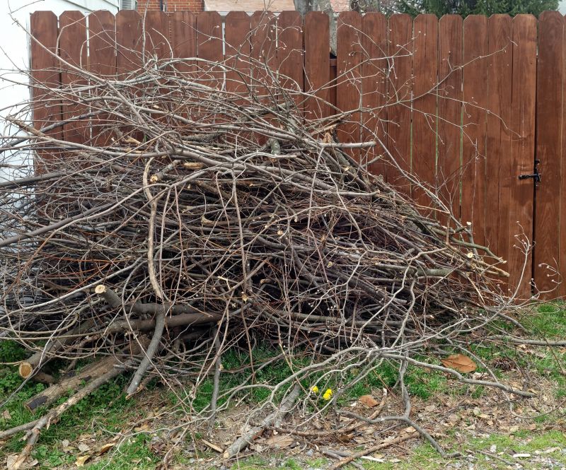 Tree Branch Clearing