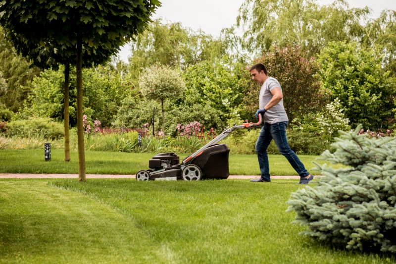 Lawn Maintenance Service