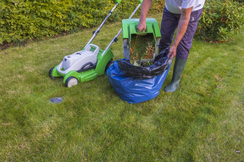 Lawn Condition