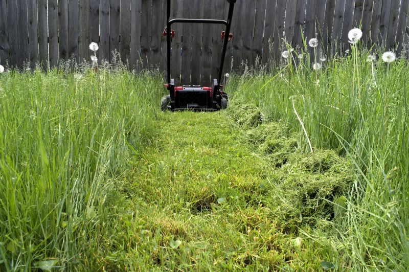 Overgrown Grass Cutting