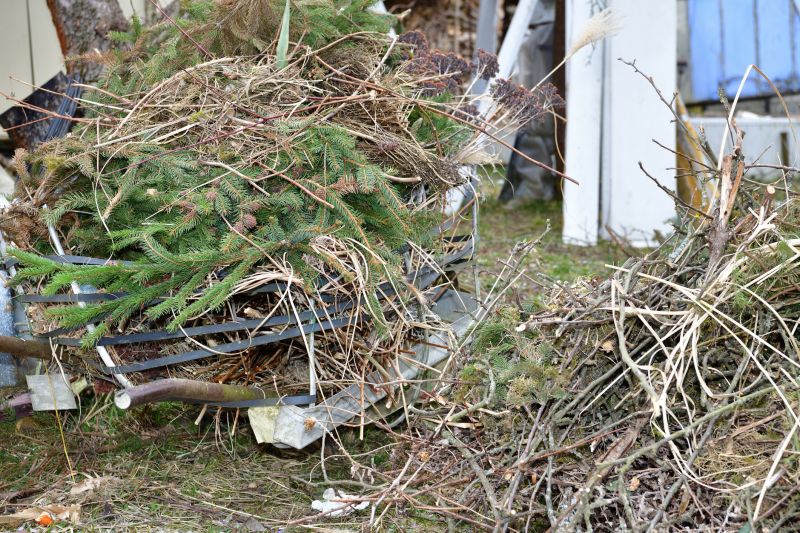 Type of Debris
